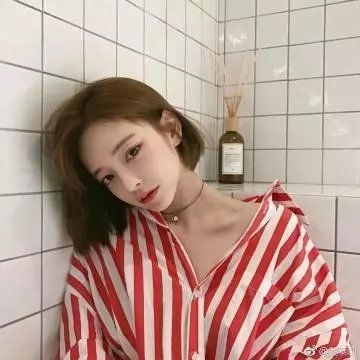 公牛
