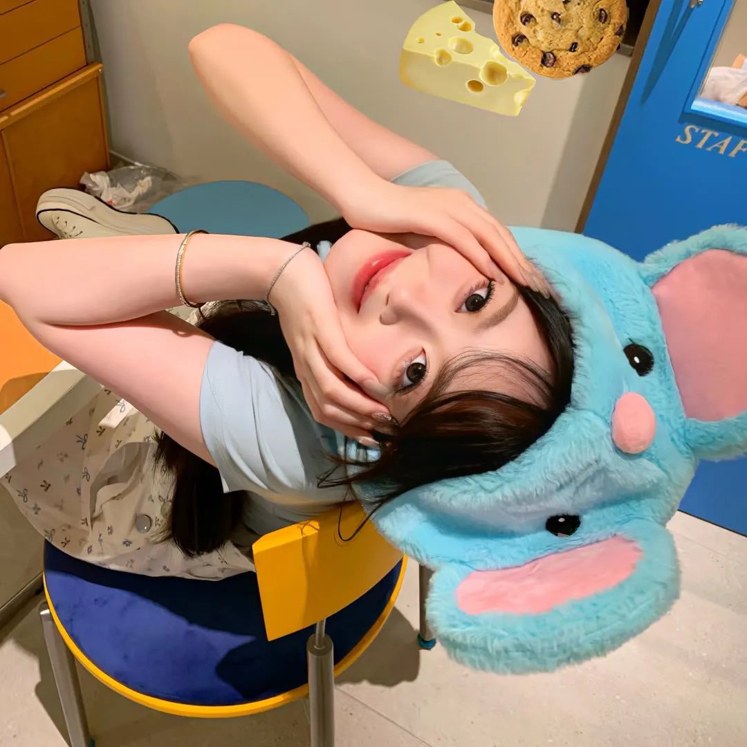野狗们