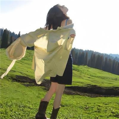 最狂野的梦想:征服珠峰